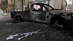 Acarrolados por las llamas en Australia