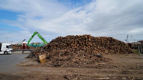 Imagen de archivo de madera almacenada en el muelle de San Diego de A Coru�a