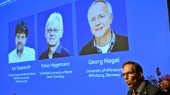 Momento en el que se da a conocer el Nobel de Medicina, ganado por Karl Deisseroth, Peter Hagemann y George Nadel