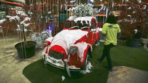 Navidad en Viveiros O Pi�eiro