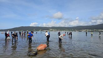 Mariscadores sembrando este jueves almeja en la zona de O Cuncheiro, en Noia