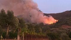 El incendio empez� de esta manera, poco antes de que se hiciese de noche