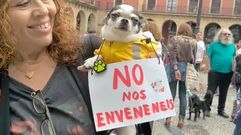 Concentraci�n contra el envenenamiento de perros en Gij�n