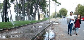 En A Fonte, los aspersores funcionan de forma continua, lo que provoca inundaciones en el entorno. 