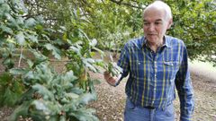 Froil�n Sevilla cree claramente en el roble como especie rentable.