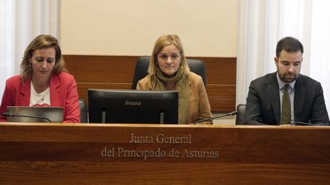 Miembros de la comisi�n de investigaci�n sobre el accidente en la mina de Cerredo, en el que el pasado 31 de marzo fallecieron cinco trabajadores a causa de una explosi�n, se re�ne por primera vez desde su constituci�n para la elaboraci�n del plan de trabajo, este viernes en la Junta General.