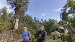 Jos� Luis Alonso y Andr�s Di�guez, junto al eucalipto y el Pazo do Faramello.