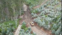 Intervenci�n en la pista forestal que comunica O Viso y San Fernando, en la parroquia de Cedofeita