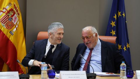 Marlaska y Pere Navarro, este jueves en la sede de la DGT en Madrid.