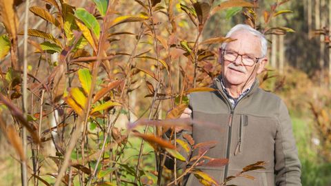 Juan lvarez de Sotomayor, en su finca de Xornes