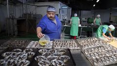 En Conservas Lou-Alma Galega emplean aceite de oliva para sus conservas de sardina