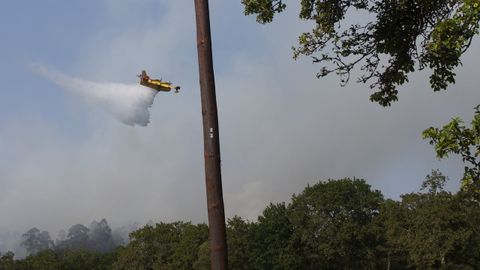 Una de las avionetas que participó en la extinción de los fuegos