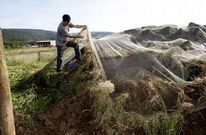 �scar Pose todav�a no ha cuantificado el da�o causado en el silo de ma�z.