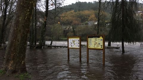 El río Avia desbordado en a Veronza, en Ribadavia