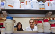Aida Ferreiro y Antonio Gonz�lez Mart�nez-Pedrayo, l�der del grupo del IDIS en el que investig�. 
