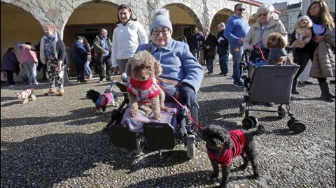 Bendici�n de mascotas en la iglesia de Campolongo