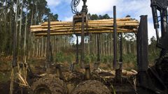 Trabajos forestales en Cedeira, en una fotograf�a de archivo