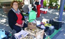 Hubo en la feria abundancia de mercanc�a, sobre todo de patatas, aunque estaban caras. 