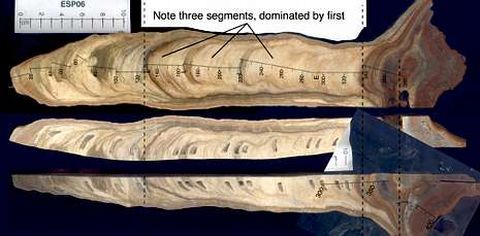 Corte transversal de la estalagmita utilizada en el �ltimo estudio sobre los climas antiguos de la sierra