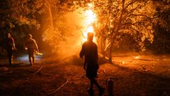 Varias personas trabajan en las labores de extinci�n del incendio forestal en La Adrada, �vila.