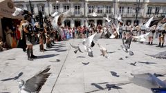 En Lugo se estima que hay un millar de palomas