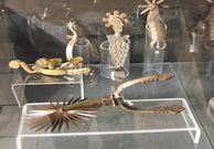 Colecci�n de esporas. 