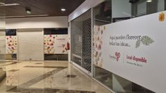 Locales sin actividad en el centro comercial Camelias