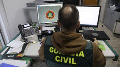 La Guardia Civil dispone de un grupo especializado en delitos y estafas inform�ticas.