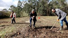 El alcalde de Pontevedra, Miguel Anxo Fernndez Lores, en el centro, visit una plantacin de rboles en Tomeza