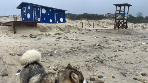 Faltan toneladas de arena en la playa de Major, en Noalla, Sanxenxo