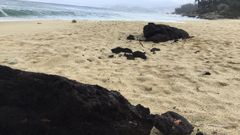 El mar empuja restos de un suelo prehist�rico a la playa de Mourisca