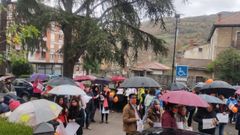 Manifestaci�n contra la ley Cela� en Pola de Lena