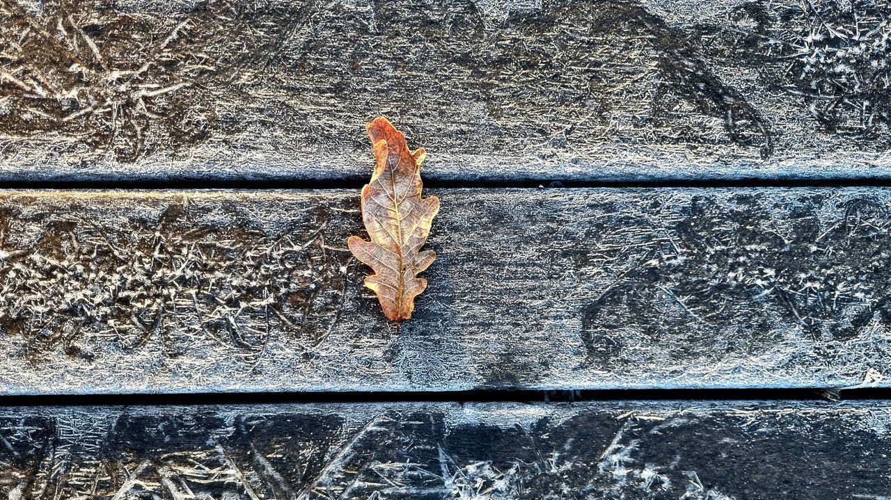 Galicia se despide del frío polar, pero vuelve a recibir a las borrascas