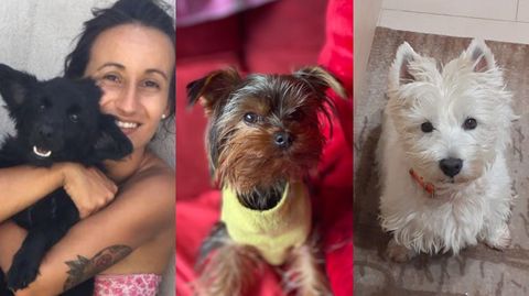 De izquierda a derecha: Vincent, Goku y Lolita