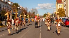 Imagen del desfile de Entroido de Bri�n del a�o pasado