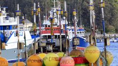 Boyas que marcan los aparejos de los pincheiros caracterizan a la flota mariana de Gran Sol, como esta amarrada en Celeiro, en una imagen de archivo 