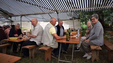 Celebración de la romería de San Benito en Barbadás.