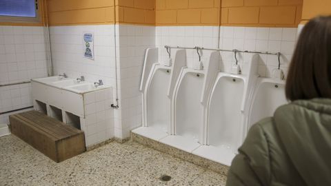 Ba�os del colegio de A Solaina, en Nar�n.