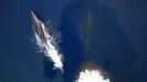Un grupo de delfines nada delante de una fragata alemana en el Mediterráneo.