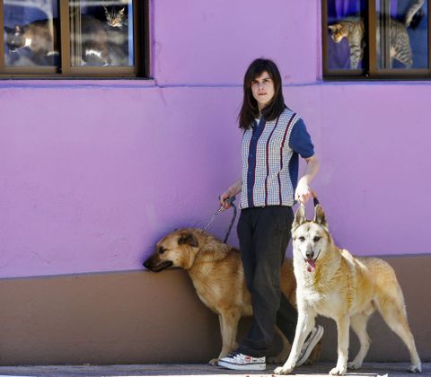 Seila, con Tella y Denko, que se llevan mal con los tres gatos, que observan desde la ventana. 