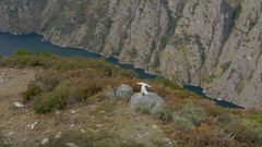 Eva Amaral canta �Halconera� en la Ribeira Sacra