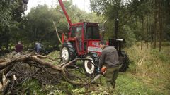 Un domingo de entrega al medio ambiente en Baio y Carballo: im�genes