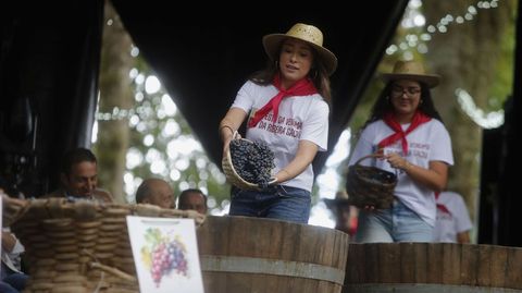 J�venes de las parroquias ribere�as del Mi�o fueron depositando las uvas para la pisa en unos cestos colocados en el palco