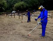 La oferta de empleo se ha pensado para que los concellos de la provincia cuenten con personal extra.