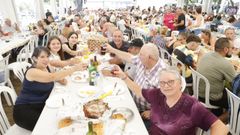 Animacin en la Festa do Emigrante de Pol