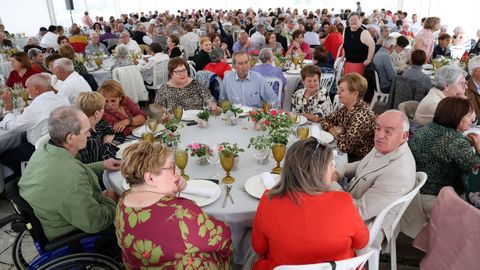 COMIDA DE LOS MAYORES EN PORTO DO SON 2025