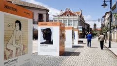 La muestra plantea un recorrido visual sobre el retrato a lo largo de las distintas corrientes pict�ricas