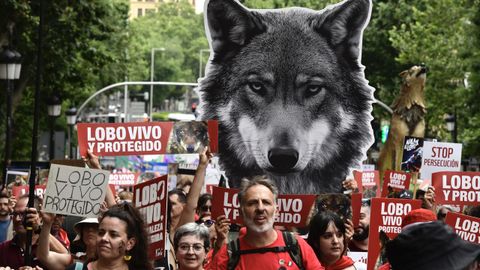 Un grupo de manifestantes este domingo en Madrid.