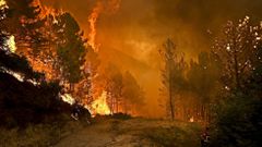 Imagen del incendio declarado este mes en Sao Pedro do Sul, en Viseu