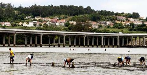 Mariscadoras faenando, hace un par de a�os, en las inmediaciones del viaducto de Beluso, un tramo esencial de la autov�a do Barbanza.